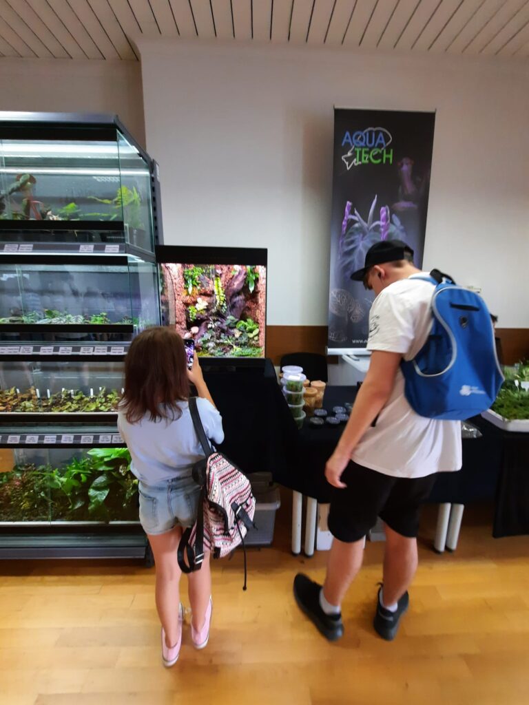 Dzieci podziwiają odmiany sadzonek kwiatów.